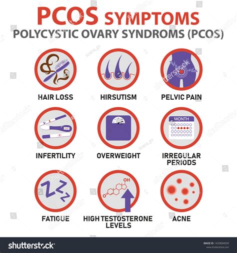 Symptoms Of Pcos Infographics Detailed Vector Royalty Free Stock