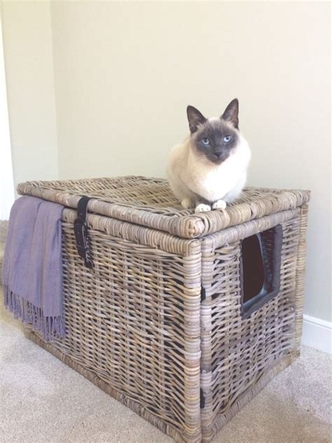 Cute Diy Ways To Hide Your Cats Litter Box With Images Hidden