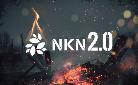 NKN Bi-weekly Report June 1 – June 15, 2020 – NKN Official Blog