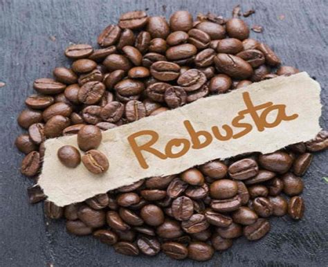 Vietnam.coffee.robusta.arabica