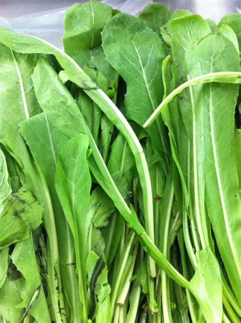 Pearls Powder Chicory Leaves Hendbeh