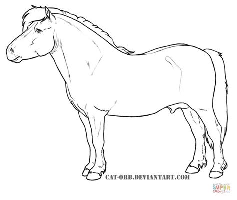 Shetland Pony Horse Coloring Pages Horse Sketch Horse Art Drawing