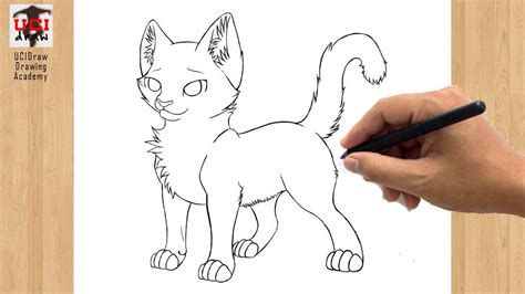 How To Draw Warrior Cats - Alternativedirection12