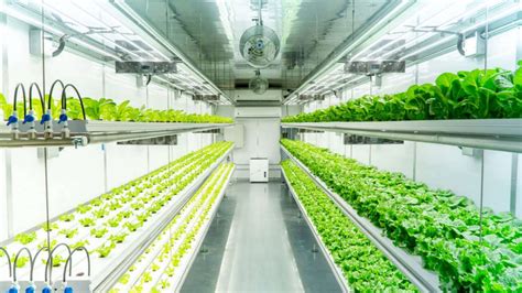 All About Freight Container Farming Indoor Gardening