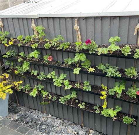 21 Rain Gutter Garden On Fence Ideas You Should Check SharonSable