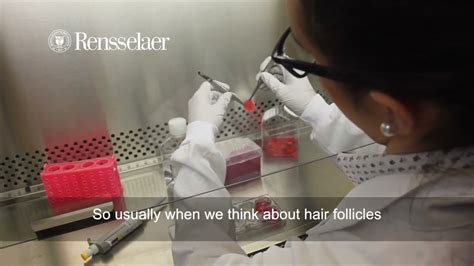 Thoughts About This Rensselaer Polytechnic Institute Hair Cloning