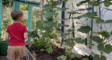 В апреле пощады не ждите: дачников начнут штрафовать за садовую технику ...