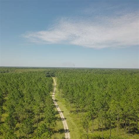 114± Acres | Development Potential | Lee Co., GA