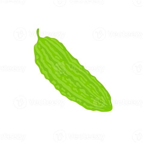 Bitter Gourd Gives A Bitter Taste In Cooking 14312752 Png