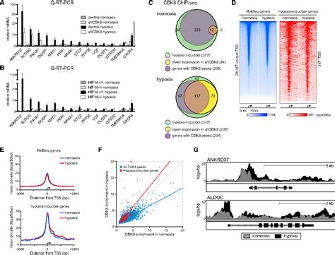 Figure From Hif A Employs Cdk Mediator To Stimulate Rnapii