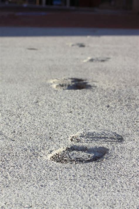 Foot Prints In Concrete Stock Photo Image Of Walking 13663040