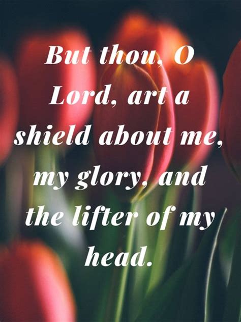 Psalms 3 3 But Thou O LORD Art A Shield About Me My Glory And The