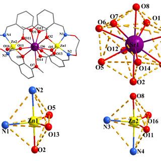 Molecule Structure And Atoms Numbering Of The Complex Hydrogen Atoms