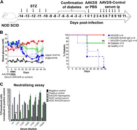 Immunosuppression Overcomes Insulin And Vector Specific Immune