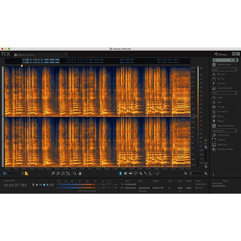 iZotope RX Elements | Musician's Friend