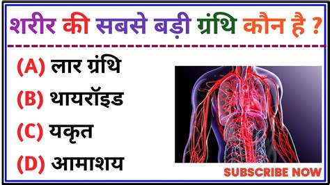 शरीर की सबसे बड़ी ग्रंथि कौन है Top 10 Amazing Gk Questions And Answers In Hindi Youtube