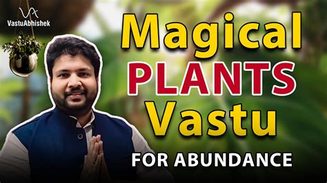 Lucky Plants For Home Vastu Best Vaastu Plants For Home Youtube