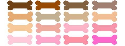 100 Colors Dog Bone Clipart Collection