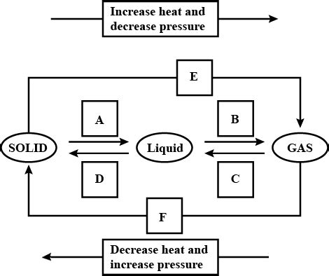 The Diagram Shows Changes Of State Between Solid Yokechanelle