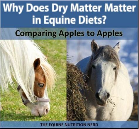 Dry Matter In Equine Diets The Equine Nutrition Nerd