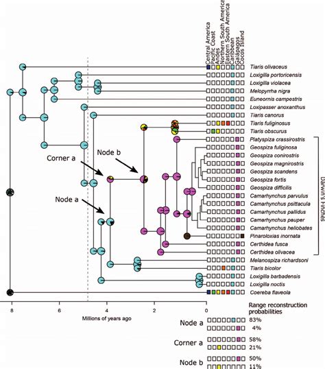 Ancestral Range Estimation For Coerebinae Modeled Under Decþjþx Using Download Scientific