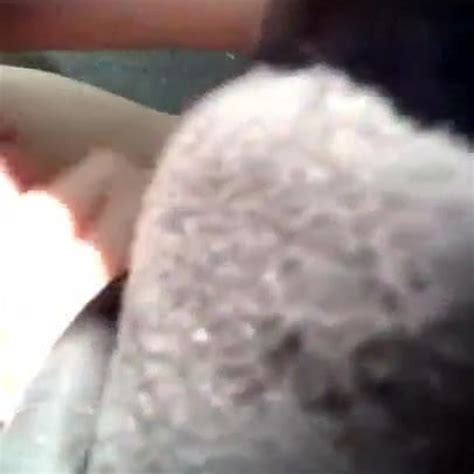 Instagram Model Blowjob Cumshot Free HD Porn 0a XHamster XHamster