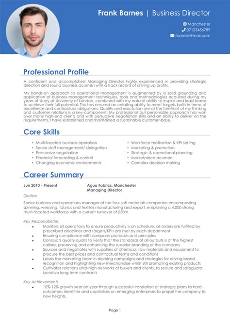 6 Executive Cv Examples 2024 Cv Templates And Guide