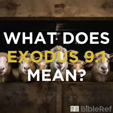 What Does Exodus 9 1 Mean