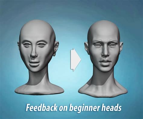 ArtStation - Head anatomy and sculpting exercises course | Tutorials