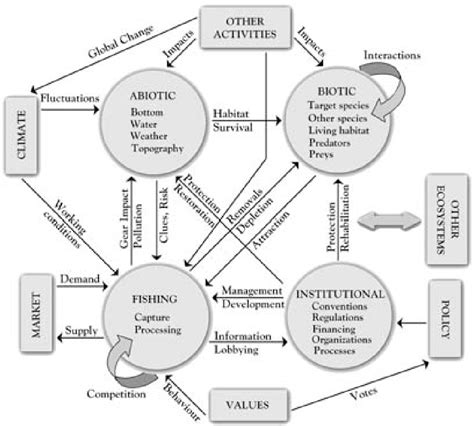 Ecosystem charts - 60 photo