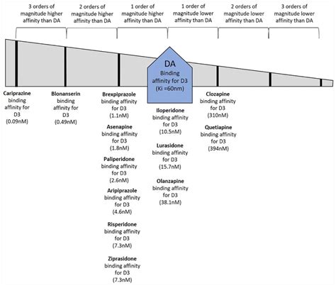 Relative Binding Affinities Of Dopamine And Antipsychotic Drugs For