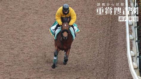 【京都記念 2024】最終追い切りを動画で解説井内利彰 競馬動画 Netkeiba