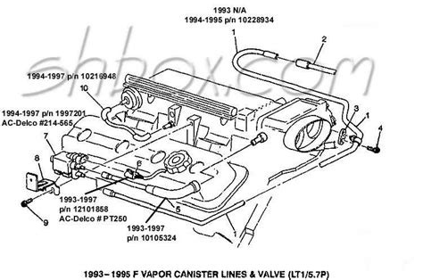 An Illustrative Diagram Of Lt1 Vacuum Lines