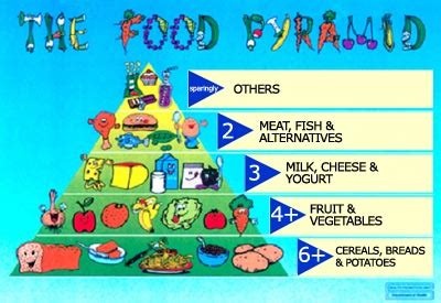 Healthy Food Pyramid For Kids Picture