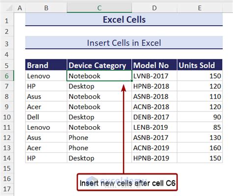 Excel Cells Basics A Beginners Guide Exceldemy