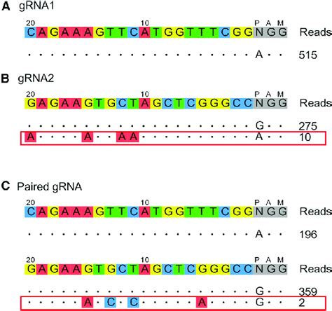 Comparison Of Off Target Mutations Between Crispr Systems Using Single