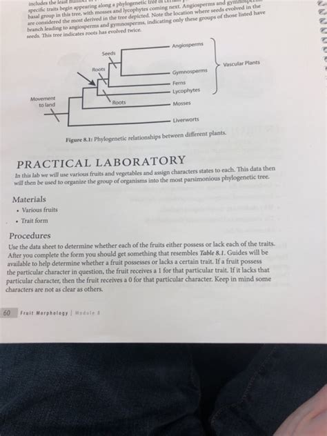 What would the phylogenetic tree look like for the | Chegg.com 
