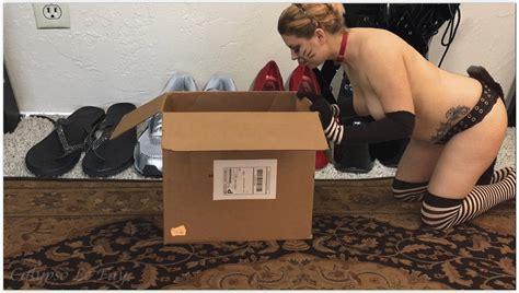 Solo Kitty Play 2fun With Boxes Balls And Laser Pointers Hd Calypso Le Fay Clips4sale