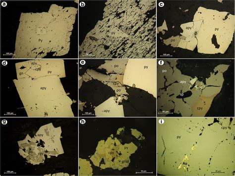 Reflected Light Photomicrographs Showing The Mineralogy And Textural