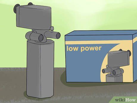 How To Breed Fish Steps With Pictures Wikihow