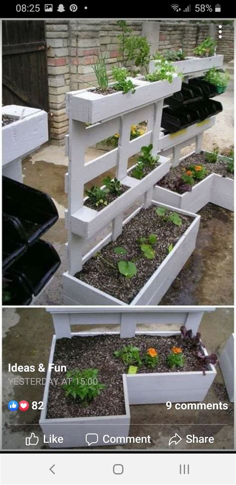 Two Pictures Showing Different Stages Of Growing Plants In The Same