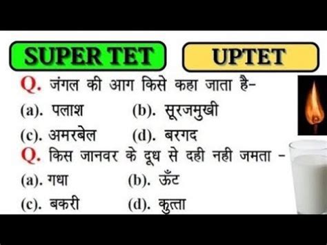 UPPET 2023 UPTET 2023 Super TET 2023 Important Questions Super