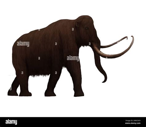 Woolly Mammoth Walking Ice Age Digital Art By Winters860 Isolated