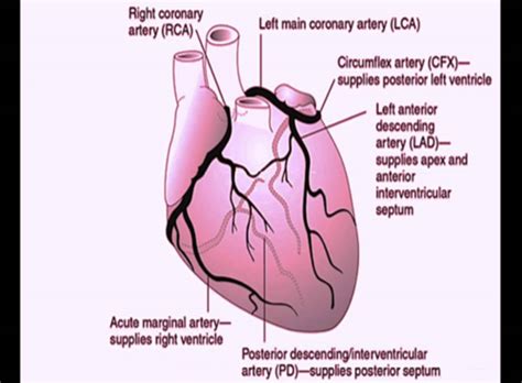 Intro To Clinicians Acute Coronary Artery Syndrome EKG Flashcards