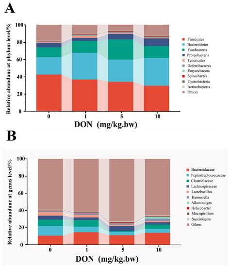 Toxins Free Full Text Possible Toxic Mechanisms Of Deoxynivalenol