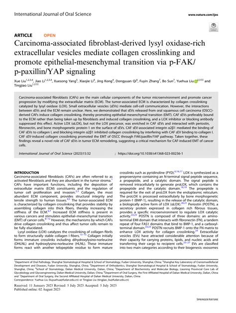 PDF Carcinoma Associated Fibroblast Derived Lysyl Oxidase Rich