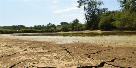 Sécheresse face aux restrictions d eau des agriculteurs sont de plus