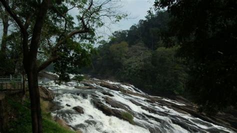 Vazhachal Waterfalls - Athirapally | Vazhachal Waterfalls Photos ...