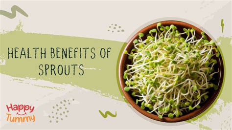 The Nutrient Rich Benefits Of Sprouts Happytummy