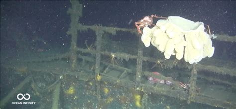 Ocean Infinity Finds Wreck Of WWII Warship Captured By Japan